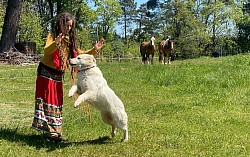 Colline à tout vent : Mariâm, Tipi et les 2 chevaux