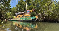 L’île secrète : voilier dans les mangroves