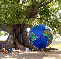 Arbre Monde