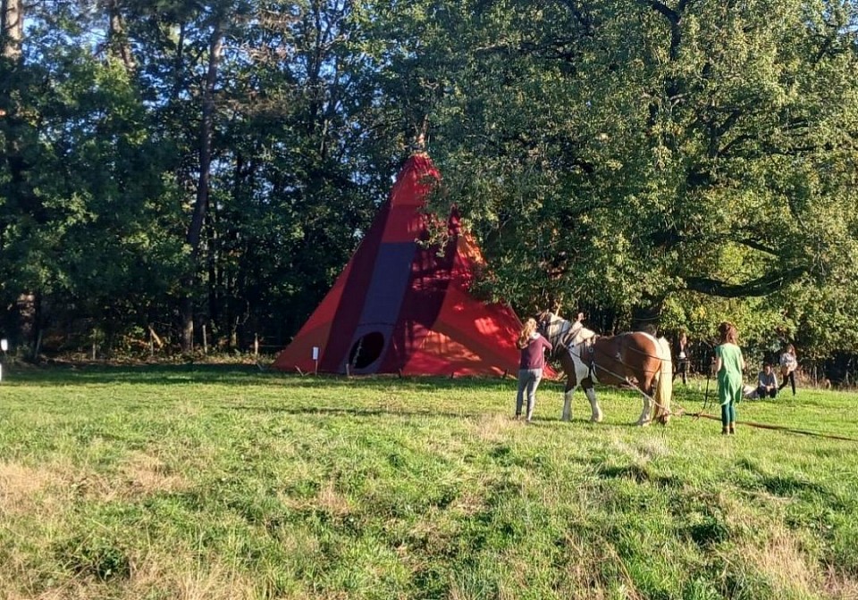 Tipi Oiseau lors de la Fête Foraine Médicinale